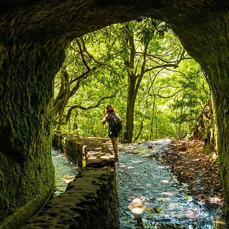 Madeira Dreams Hébergement de vacances