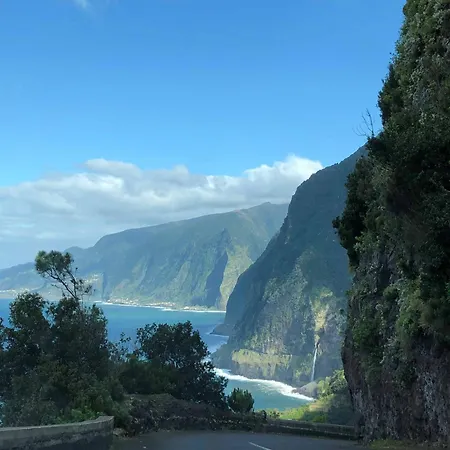 Madeira Dreams Канису