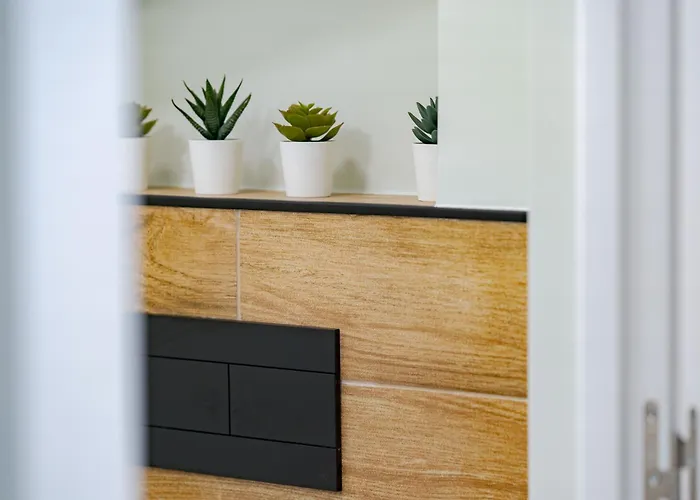 Madeira Dreams Holiday home Canico (Madeira)