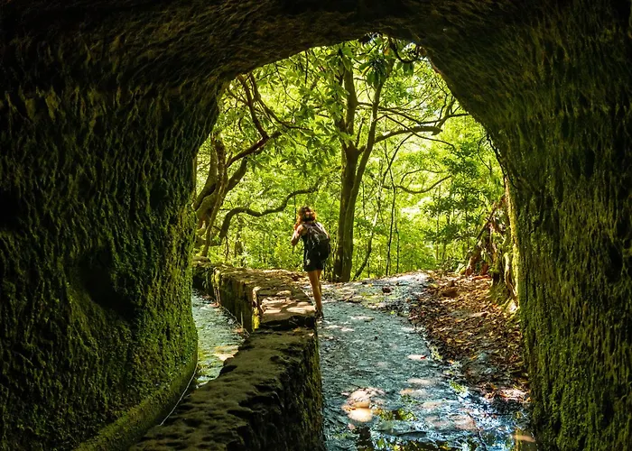 Madeira Dreams Holiday home